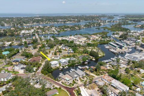 Casa en venta en Tarpon Springs, Florida, 3 dormitorios, 224.54 m2 № 1755220 - foto 3