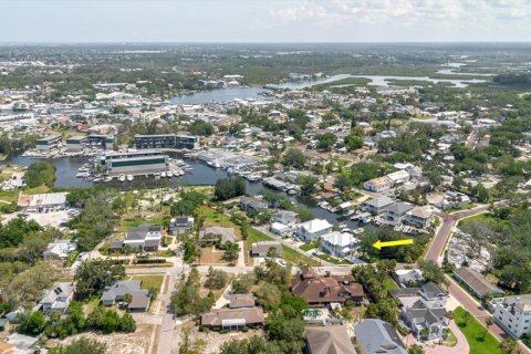 House in Tarpon Springs, Florida 3 bedrooms, 224.54 sq.m. № 1755220 - photo 2