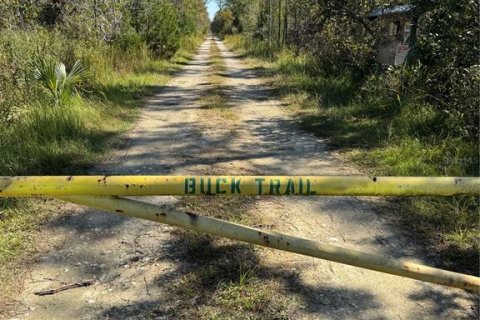 Land in Cedar Key, Florida № 2130717 - photo 2