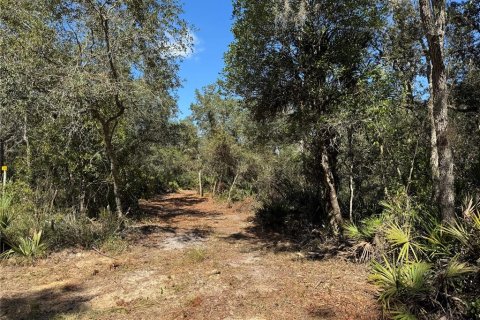 Land in Cedar Key, Florida № 2130717 - photo 10