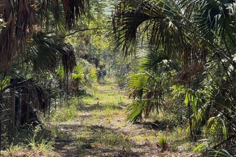 Land in Cedar Key, Florida № 2130717 - photo 12