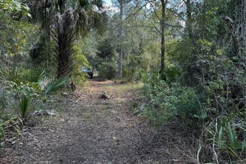 Land in Cedar Key, Florida № 2130717 - photo 18