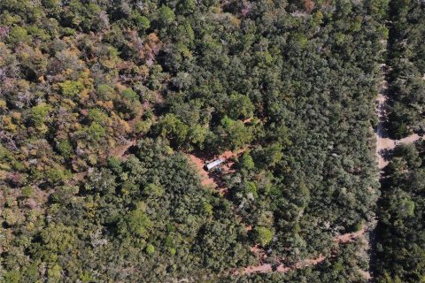 Land in Cedar Key, Florida № 2130717 - photo 5