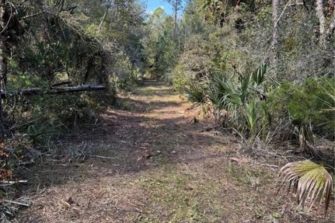 Land in Cedar Key, Florida № 2130717 - photo 16