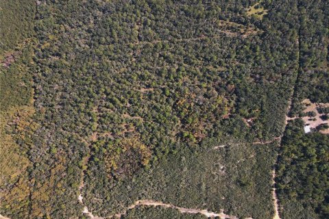 Land in Cedar Key, Florida № 2130717 - photo 17