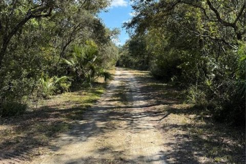 Land in Cedar Key, Florida № 2130717 - photo 7