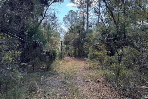 Land in Cedar Key, Florida № 2130717 - photo 13