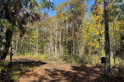 Land in Cedar Key, Florida № 2130717 - photo 4
