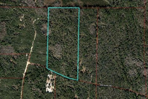 Land in Cedar Key, Florida № 2130717 - photo 24