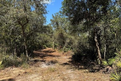 Land in Cedar Key, Florida № 2130717 - photo 21