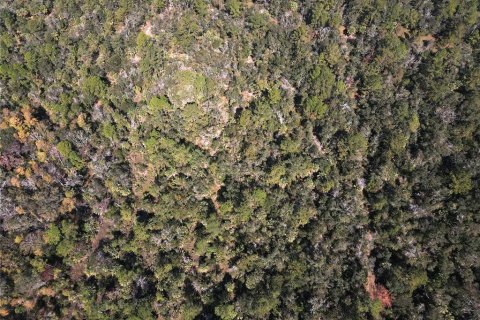 Land in Cedar Key, Florida № 2130717 - photo 19