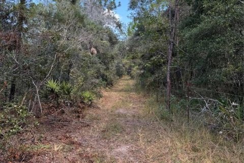 Land in Cedar Key, Florida № 2130717 - photo 11