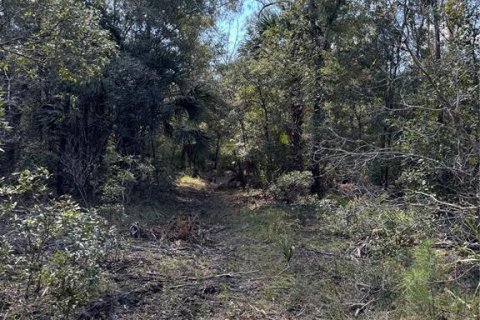Land in Cedar Key, Florida № 2130717 - photo 20