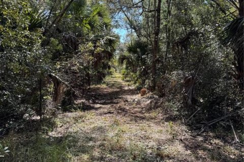 Land in Cedar Key, Florida № 2130717 - photo 15