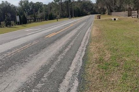 Land in Umatilla, Florida № 1536181 - photo 18