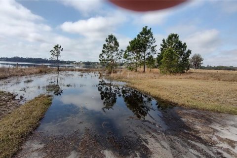 Land in Umatilla, Florida № 1536181 - photo 17