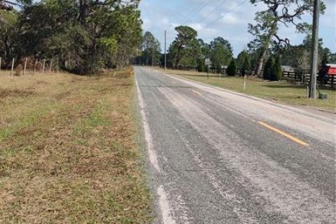 Land in Umatilla, Florida № 1536181 - photo 19