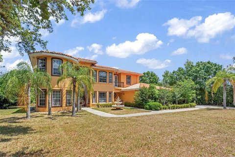 House in Windermere, Florida 5 bedrooms, 418.06 sq.m. № 1908062 - photo 3