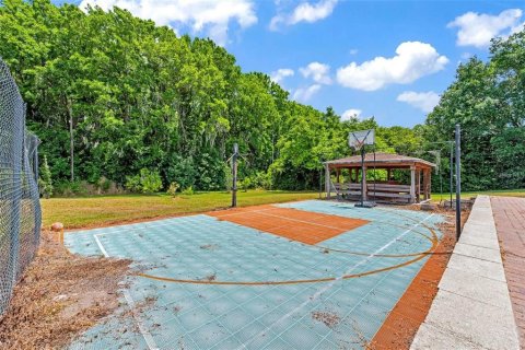 Villa ou maison à vendre à Windermere, Floride: 5 chambres, 418.06 m2 № 1908062 - photo 25