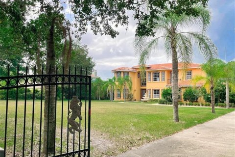 Villa ou maison à vendre à Windermere, Floride: 5 chambres, 418.06 m2 № 1908062 - photo 6