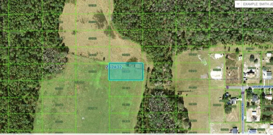 Terrain à Polk City, Floride № 2235133