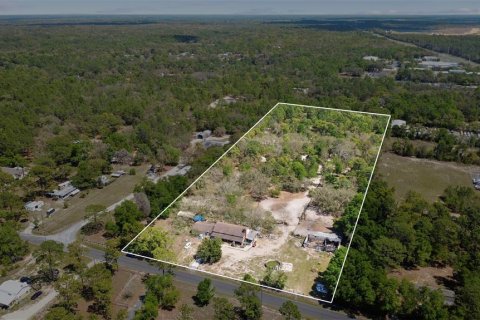 Land in Lecanto, Florida № 2123739 - photo 3