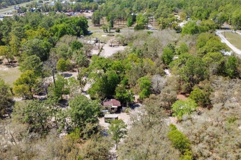 Land in Lecanto, Florida № 2123739 - photo 7