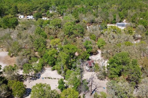 Land in Lecanto, Florida № 2123739 - photo 8