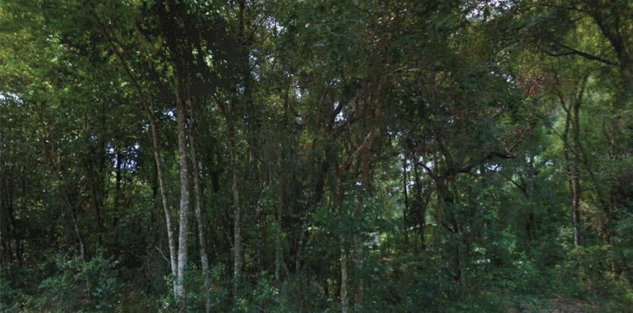 Land in Floral City, Florida № 2231840