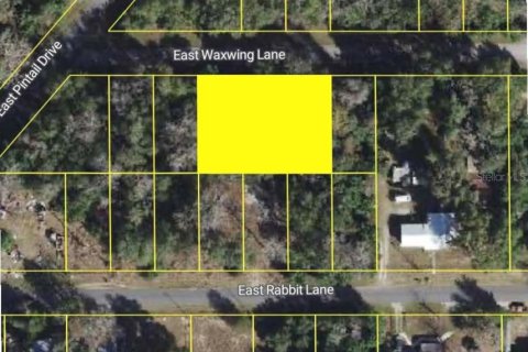 Land in Floral City, Florida № 2231840 - photo 2