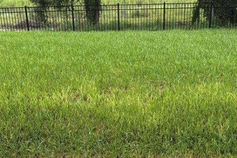 House in Winter Garden, Florida 4 bedrooms, 282.24 sq.m. № 2259147 - photo 7
