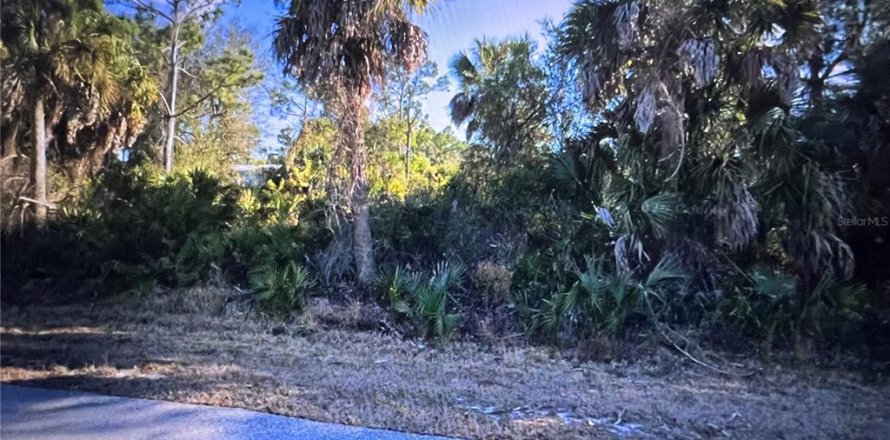 Land in Punta Gorda, Florida № 2226965