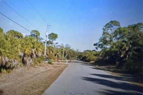 Land in Punta Gorda, Florida № 2226965 - photo 3