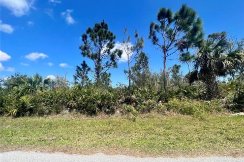 Land in Port Charlotte, Florida № 2229538
