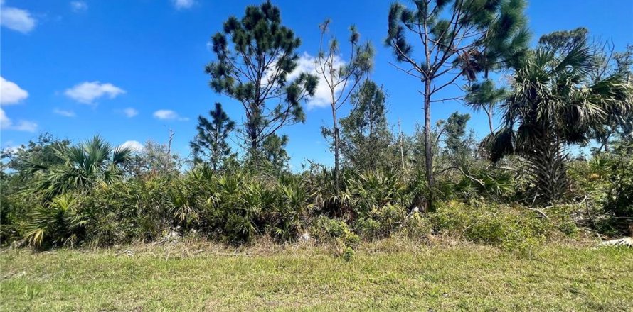 Terrain à Port Charlotte, Floride № 2229538
