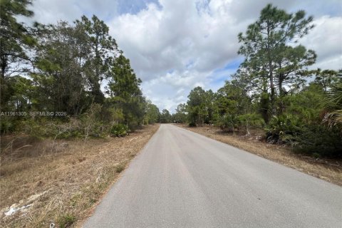 Land in Lehigh Acres, Florida № 2158272 - photo 6