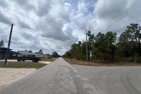 Land in Lehigh Acres, Florida № 2158272 - photo 9