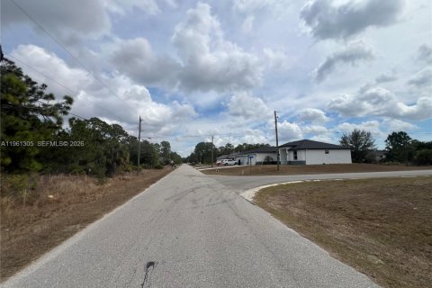 Land in Lehigh Acres, Florida № 2158272 - photo 8