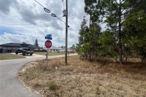 Land in Lehigh Acres, Florida № 2158272 - photo 7