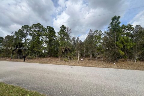 Land in Lehigh Acres, Florida № 2158272