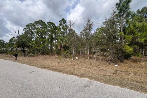 Land in Lehigh Acres, Florida № 2158272 - photo 3