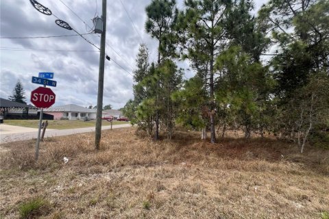 Land in Lehigh Acres, Florida № 2158272 - photo 5