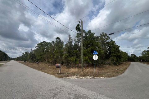 Land in Lehigh Acres, Florida № 2158272 - photo 4
