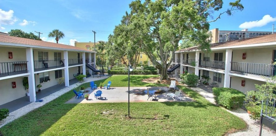 Condo à Tampa, Floride, 1 chambre № 2404711