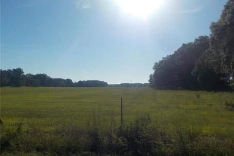 Land in Summerfield, Florida № 1880618 - photo 1