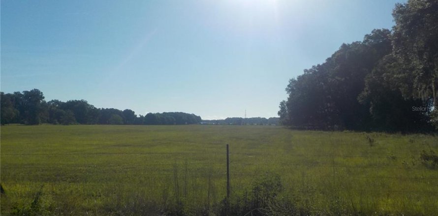 Terreno en Summerfield, Florida № 1880618