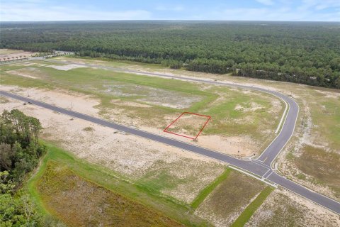 Land in Flagler Beach, Florida № 2385997 - photo 11