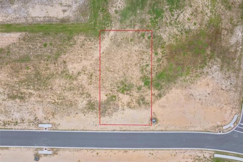 Land in Flagler Beach, Florida № 2385997 - photo 12