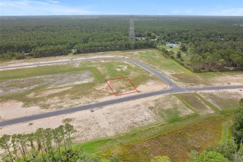Land in Flagler Beach, Florida № 2385997 - photo 3