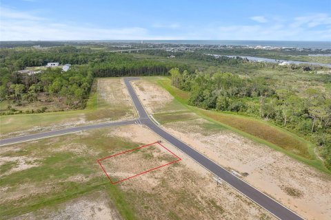 Land in Flagler Beach, Florida № 2385997 - photo 5